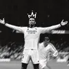 don..28
