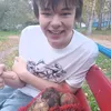 jandel_2.2
