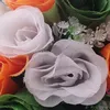 dr..mimo7