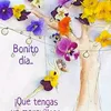 vacaciones19