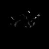 _________shadow________1