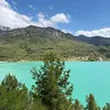jomamy6