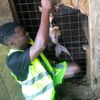 joy.pets.and.anim