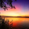 zainab.noure