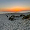 jamesde_smidt
