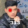 .31362756