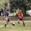 pedro_2k25_