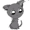 stich.manuel