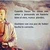 mauicio.quina