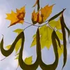 raedkesar2