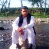 saif41553