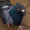 monoculo77
