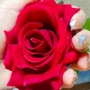 noor76826