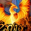 khan80469076