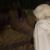 os_algasmi