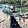 mn_fishing01