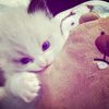 floowerry_23