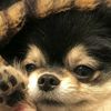lily56938jkbts