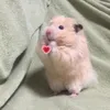 muahangcungtuoiii_
