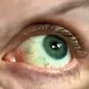 Sora.Ai.Videos