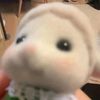 peppermint_5252