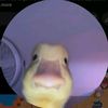 khaled_brawl
