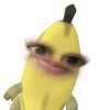 raraaa_aaa6
