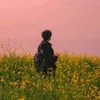cucutemusic