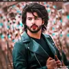 amer_b22