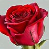 usearmy__22