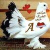 user851830636334