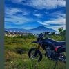 masvaldy2276