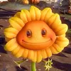 kookoocummy