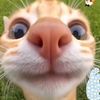 beeeennn2