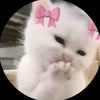 .fatema619
