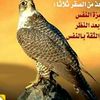mohammad.khaled355