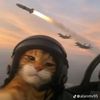 _fiqz08