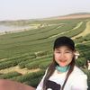 user8504946760237