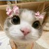 yousefamer271