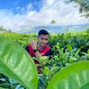 Bodong