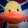 viral_duck_on_ur_fyp