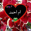 om.ahmad263