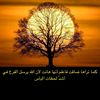 user9705362725770