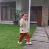 ansyaraid