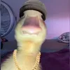 joaquimsalazar69
