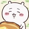 bear5784