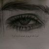 user528059158