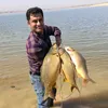 bewar.barwary