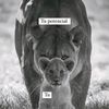 fernandofuentes_97