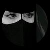 g_711.azl